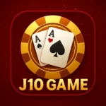 j10 game profile