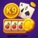k9-game